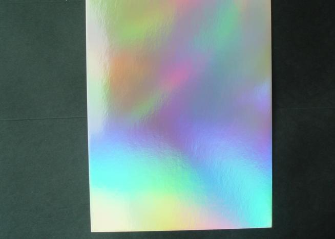 MET PET Rainbow 16pt Size: 28x40 inches